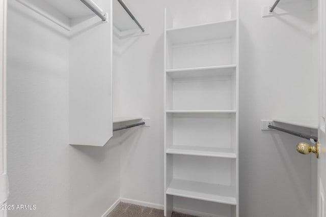 spacious closet featuring carpet flooring