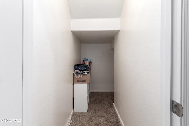 hallway featuring baseboards, carpet floors, and a textured wall