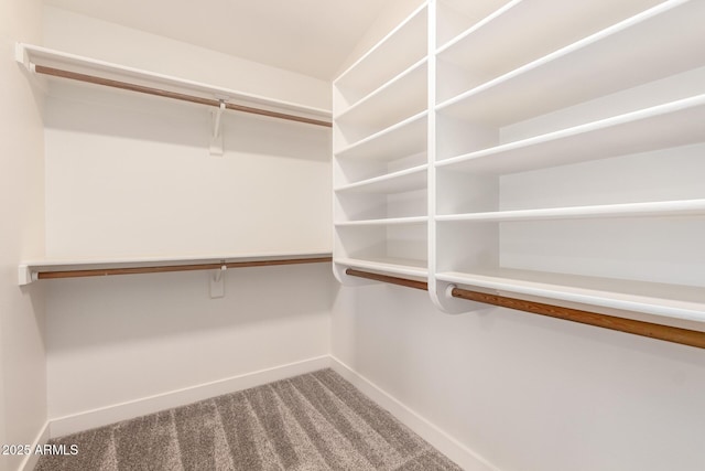 1627 W Maplewood St, Chandler, AZ 85286 - walk in closet with carpet flooring
