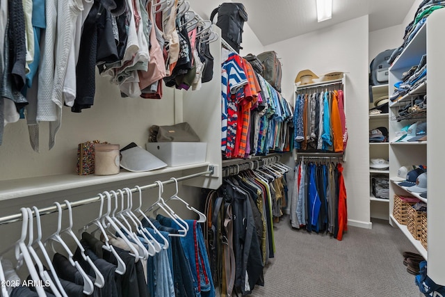 walk in closet with carpet flooring