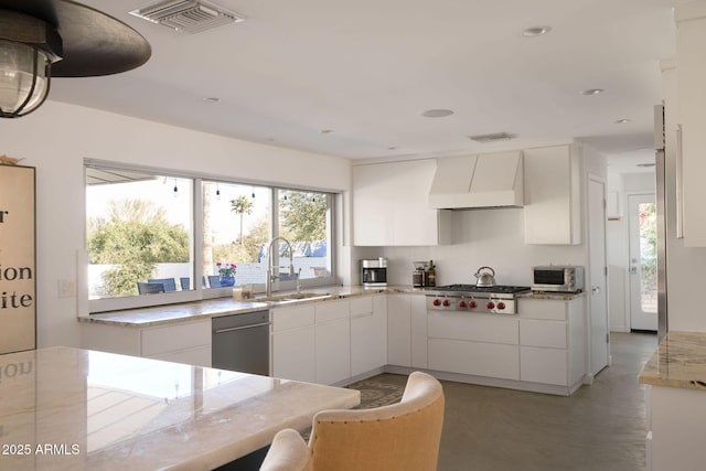 kitchen featuring appliances with stainless steel finishes, sink, white cabinets, and custom range hood