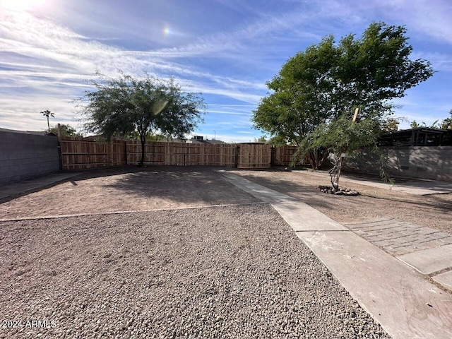 view of yard featuring a patio area