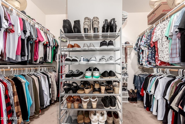 spacious closet featuring carpet floors