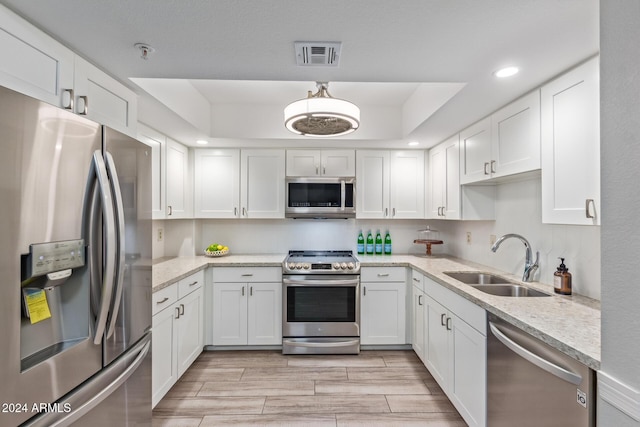 kitchen with appliances with stainless steel finishes, white cabinetry, a raised ceiling, and sink