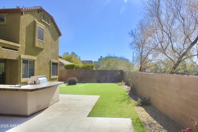 view of yard with area for grilling and a patio area