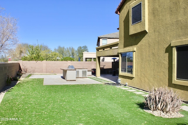 view of yard with exterior kitchen and a patio