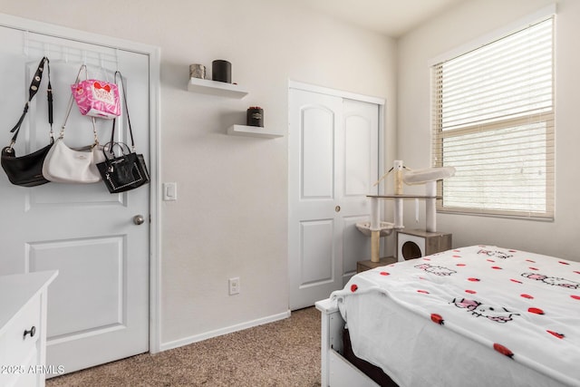4556 E Gagarinite Ln, San Tan Valley, AZ 85143 - bedroom featuring carpet floors, baseboards, and a closet