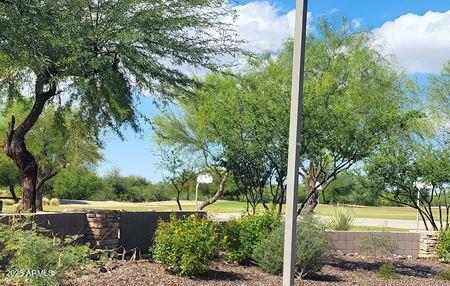 4556 E Gagarinite Ln, San Tan Valley, AZ 85143 - exterior space