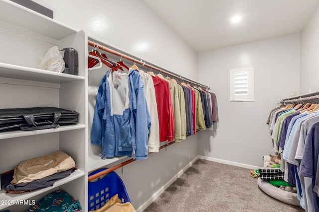 spacious closet with carpet