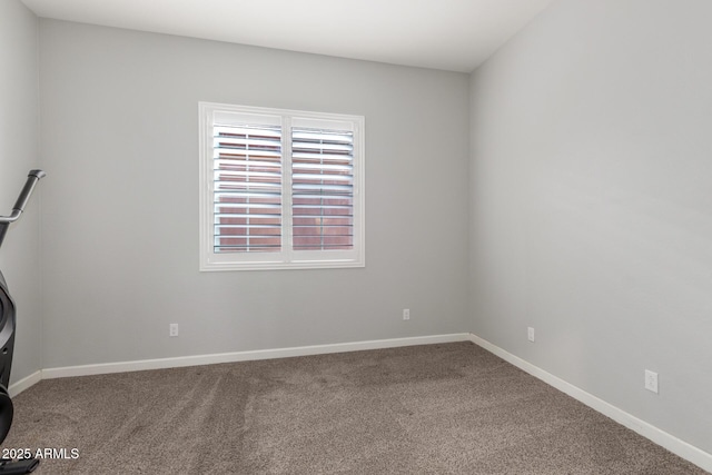 empty room featuring carpet floors