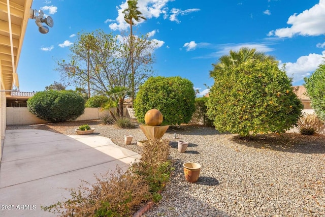 view of yard with a patio and a fenced backyard