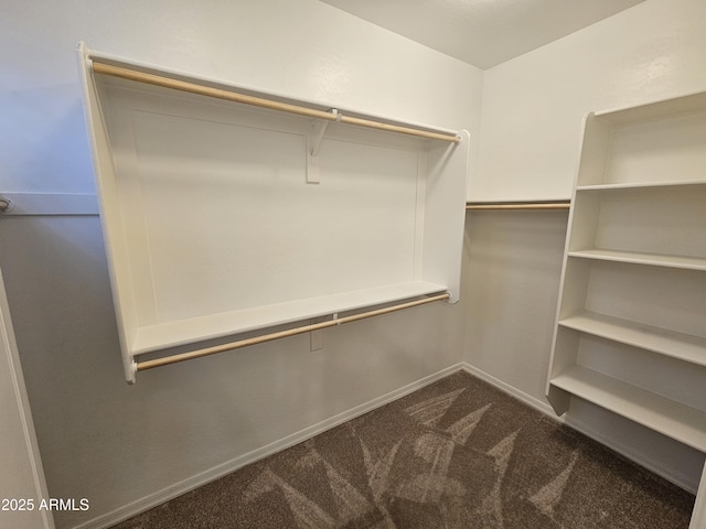 18871 S 209th Way, Queen Creek, AZ 85142 - spacious closet featuring dark carpet