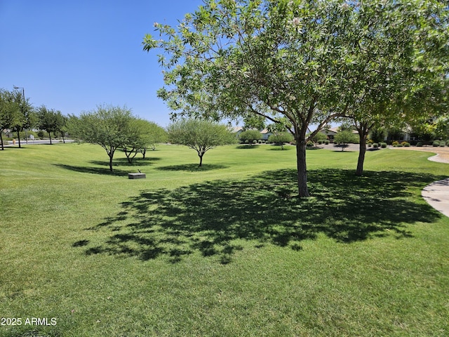18871 S 209th Way, Queen Creek, AZ 85142 - view of home's community featuring a yard