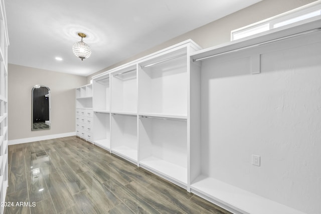 spacious closet featuring dark hardwood / wood-style flooring