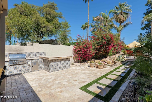 view of patio with a fenced backyard, area for grilling, and grilling area
