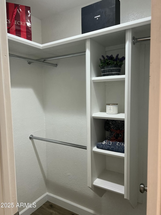 spacious closet featuring dark hardwood / wood-style flooring