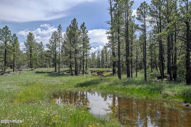 026/027 Birdsong Way -, Unit Lakeside AZ, 85929 land for sale