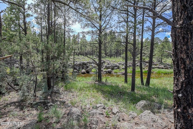 Listing photo 2 for 026/027 Birdsong Way -, Unit Lakeside AZ 85929