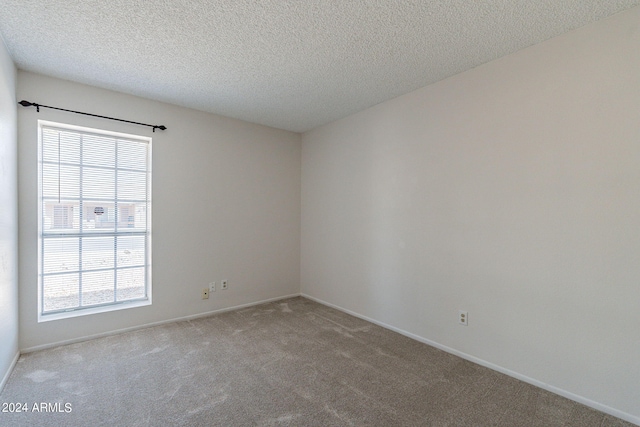 carpeted empty room with a wealth of natural light and a textured ceiling