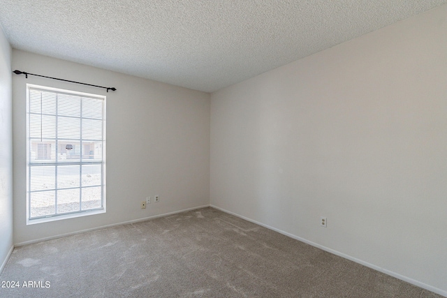 16410 S 46th Pl, Phoenix, AZ 85048 - carpeted empty room with a textured ceiling, baseboards, and plenty of natural light