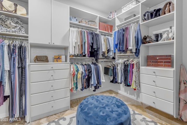 view of spacious closet