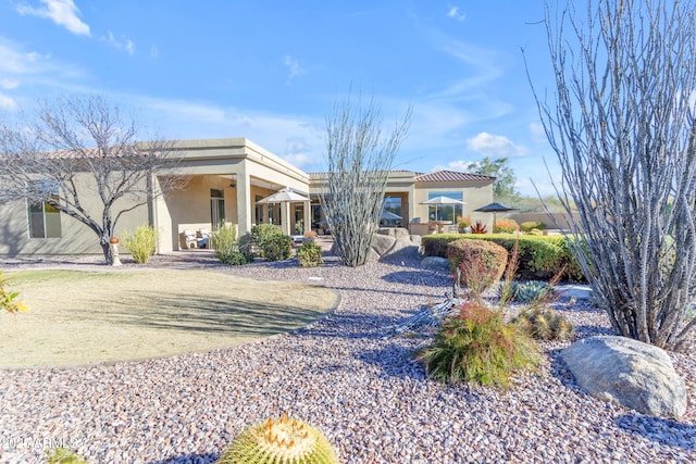 view of front of property with ceiling fan and stucco siding