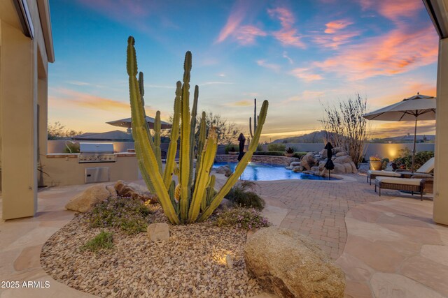 view of pool with a patio area and area for grilling