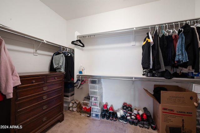 spacious closet with light carpet