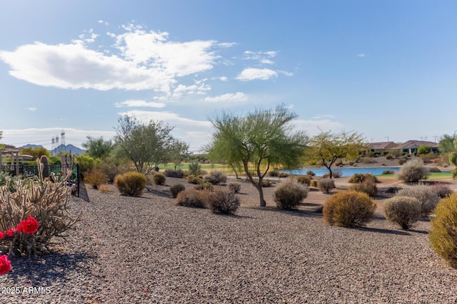 view of yard with a water view