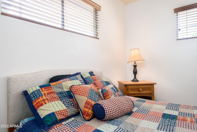 bedroom featuring multiple windows