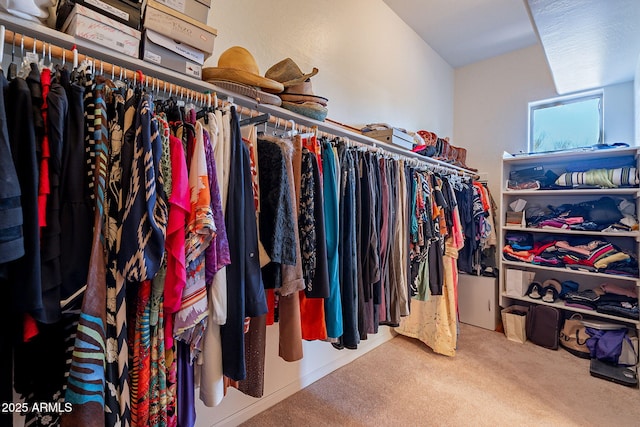 5336 E Gloria Ln, Cave Creek, AZ 85331 - spacious closet featuring carpet flooring