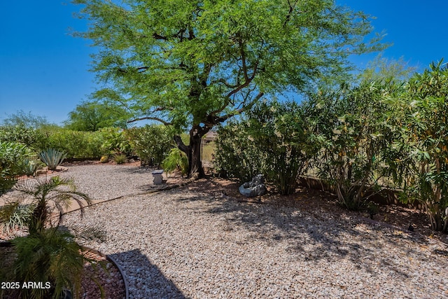 5336 E Gloria Ln, Cave Creek, AZ 85331 - view of yard