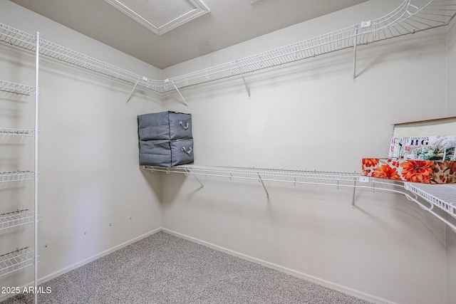 spacious closet featuring attic access and carpet flooring