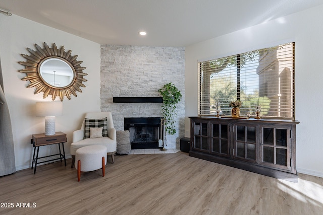 living area with wood-type flooring and a fireplace