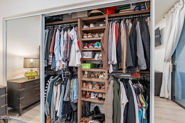 view of closet