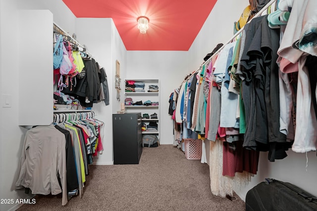 22501 E Indiana Ave, Queen Creek, AZ 85142 - walk in closet with carpet