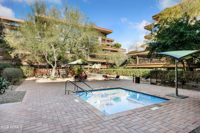 view of pool with a patio area