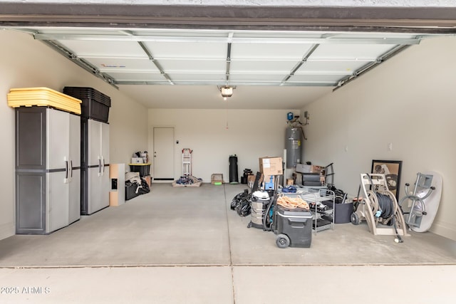 garage featuring a garage door opener and water heater