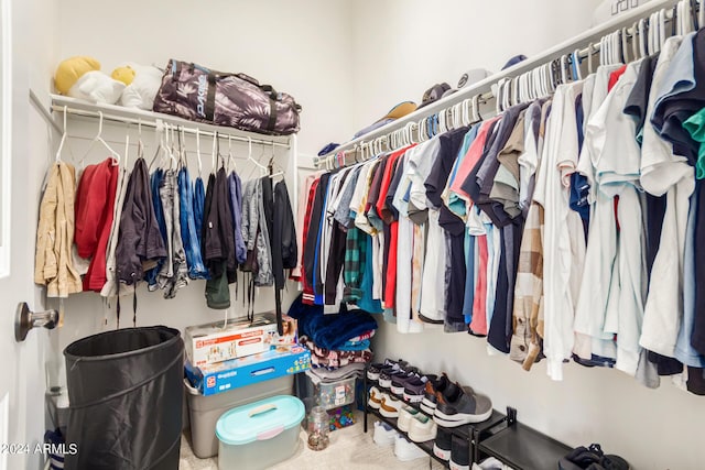 view of spacious closet