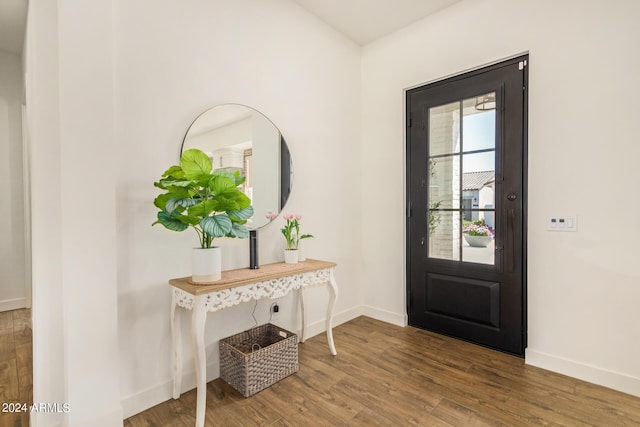 foyer featuring dark hardwood / wood-style floors