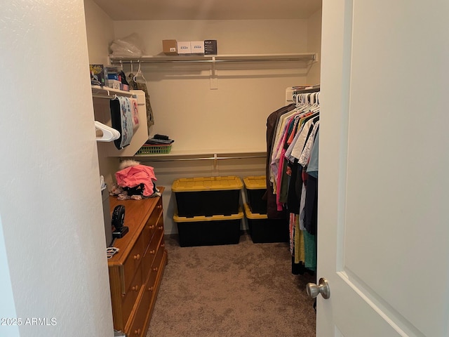 spacious closet with dark carpet