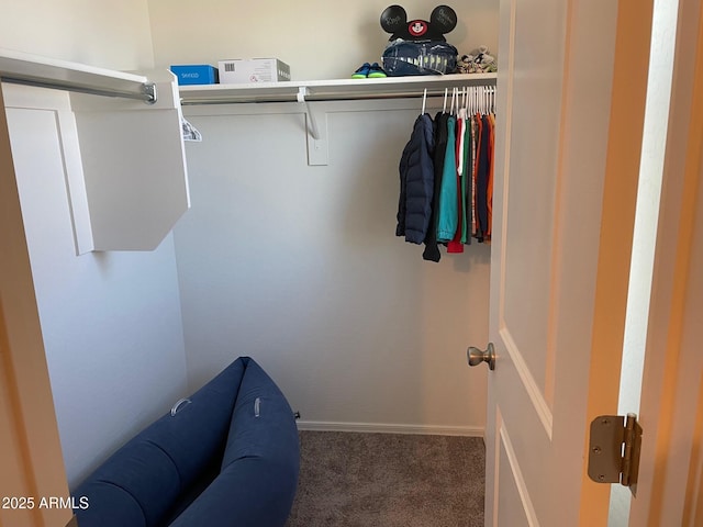 walk in closet with dark colored carpet