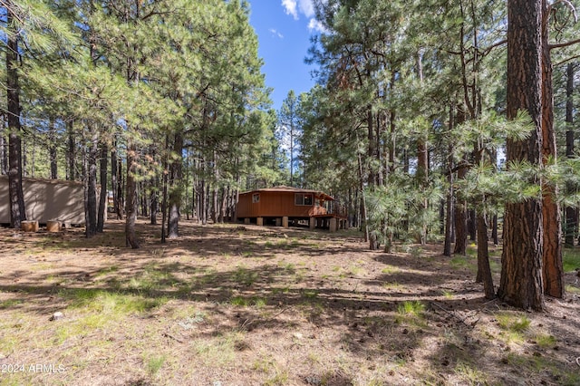 1423 Geode Dr, Forest Lakes, AZ 85931 - view of yard