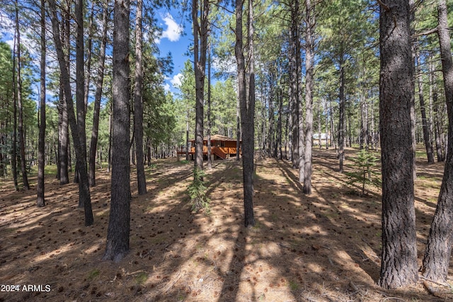 1423 Geode Dr, Forest Lakes, AZ 85931 - view of yard