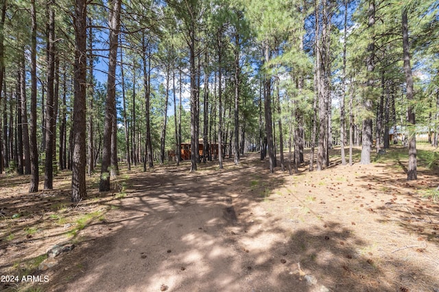 1423 Geode Dr, Forest Lakes, AZ 85931 - view of street featuring dirt driveway