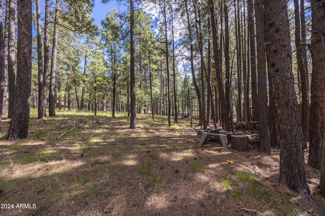 1423 Geode Dr, Forest Lakes, AZ 85931 - view of nature