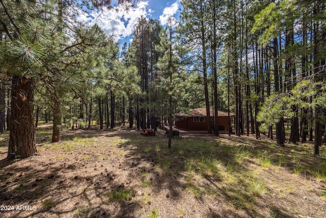 1423 Geode Dr, Forest Lakes, AZ 85931 - view of yard