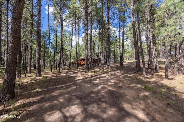 1423 Geode Dr, Forest Lakes, AZ 85931 - view of street with dirt driveway