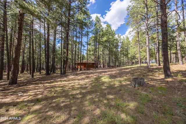 1423 Geode Dr, Forest Lakes, AZ 85931 - view of yard