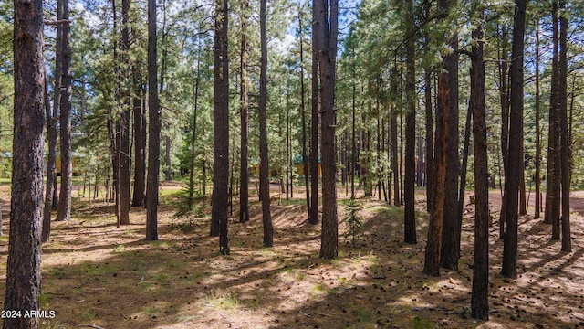1423 Geode Dr, Forest Lakes, AZ 85931 - view of local wilderness